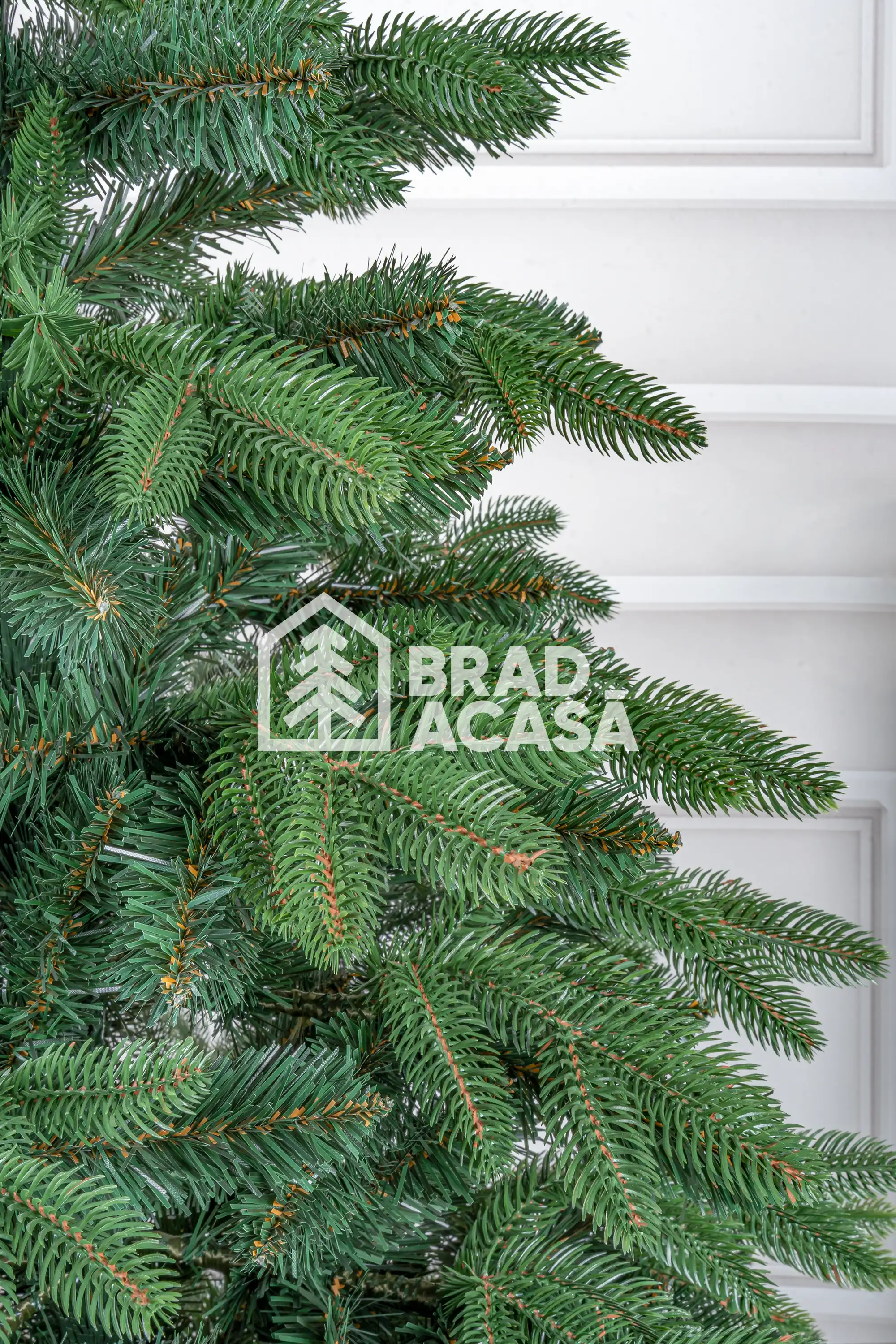 Brad artificial Noel