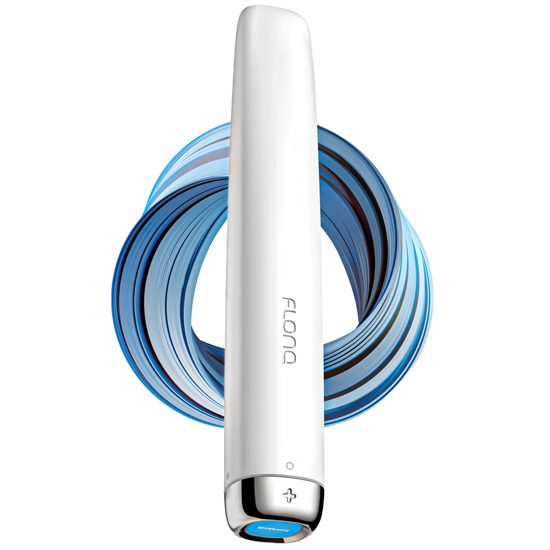 Blueberry 600 puffs