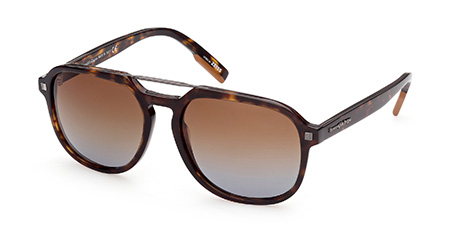 Ermenegildo Zegna EZ0149 52F