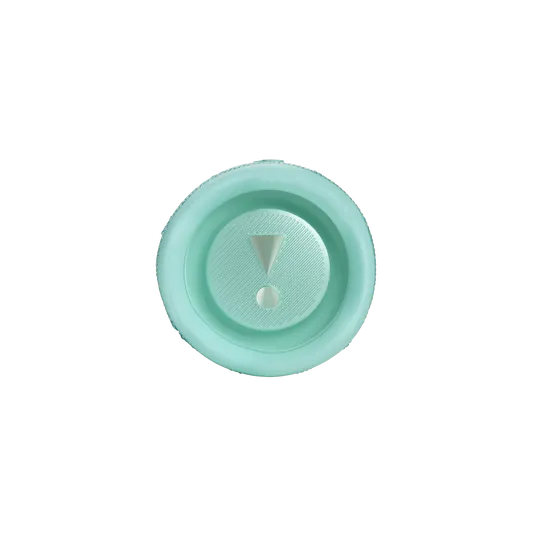 JBL Flip 6 Teal