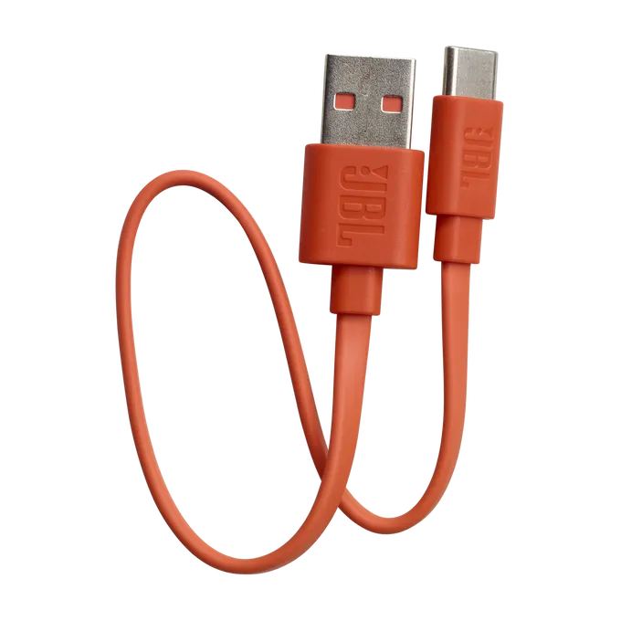 JBL Live Flex Black