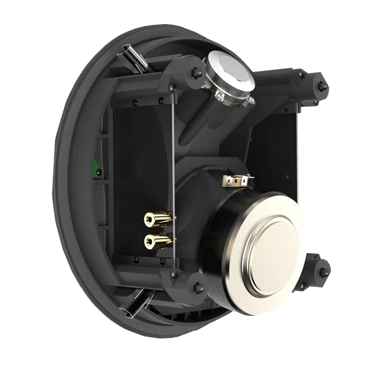 SCL-8