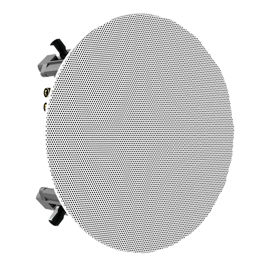 SCL-8