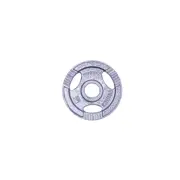 Disc din metal cu manere 1.25 kg, d=50 mm inSPORTline 12701 (1175)