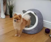 Gri