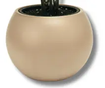 Mocha