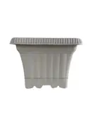 Alb