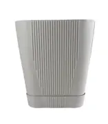 Alb
