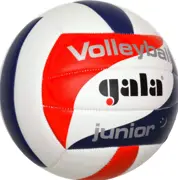 Minge volei №5 Gala Junior 5093 (3925)