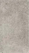 SILVER STONE DF RECTIFIED 60*120