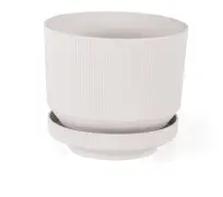Alb